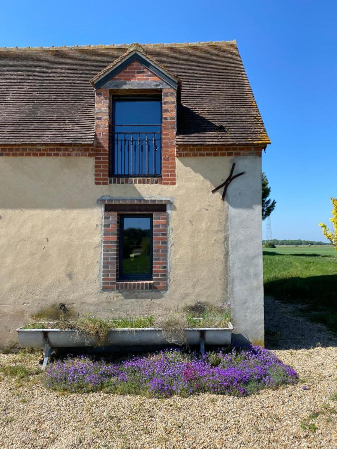La Muzardiere Aux Gites De Cormenin Saint-Hilaire-sur-Puiseaux ภายนอก รูปภาพ